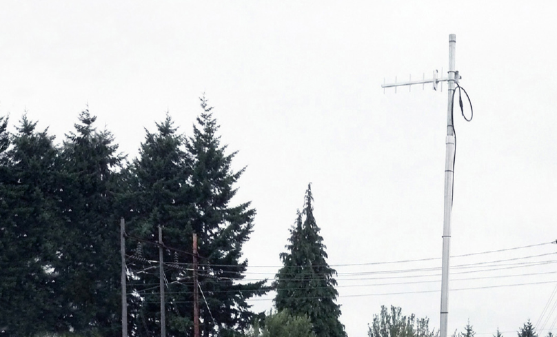 A Yagi directional antenna against a background of pine trees.